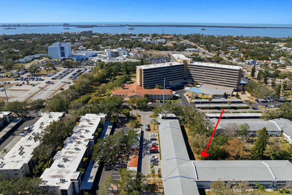 Photo of 300 Clyde Lane #215, Dunedin, FL 34698 (MLS # TB8473029)