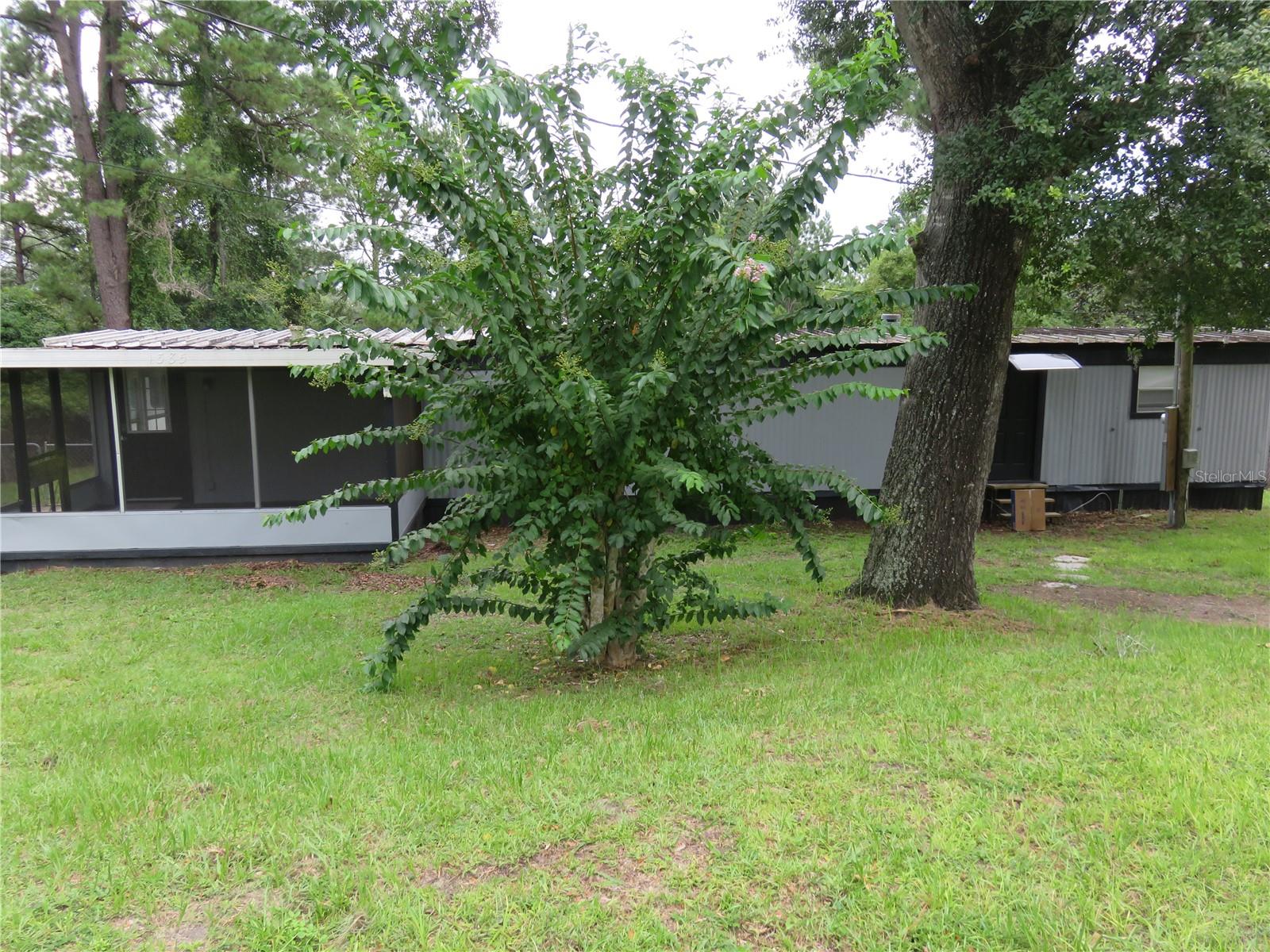 Nicely restored older mobile on canal leading to North Bryant Lake, Roof, HVAC, Hot Water Heater and Power Panel all updated. Kitchen completely redone and carpet replace with laminate in almost the entire Unit. Laundry hook up's in shed in back yard. Row from the canal from your back yard to North Lake Bryant and go fishing, back yard completely fenced and you have a covered and screened front porch with a paved driveway. Property has been used as a rental with a good rate of return, can you say Air BnB??