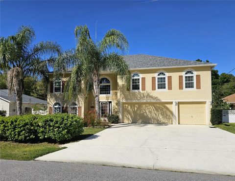 A home in PALM COAST