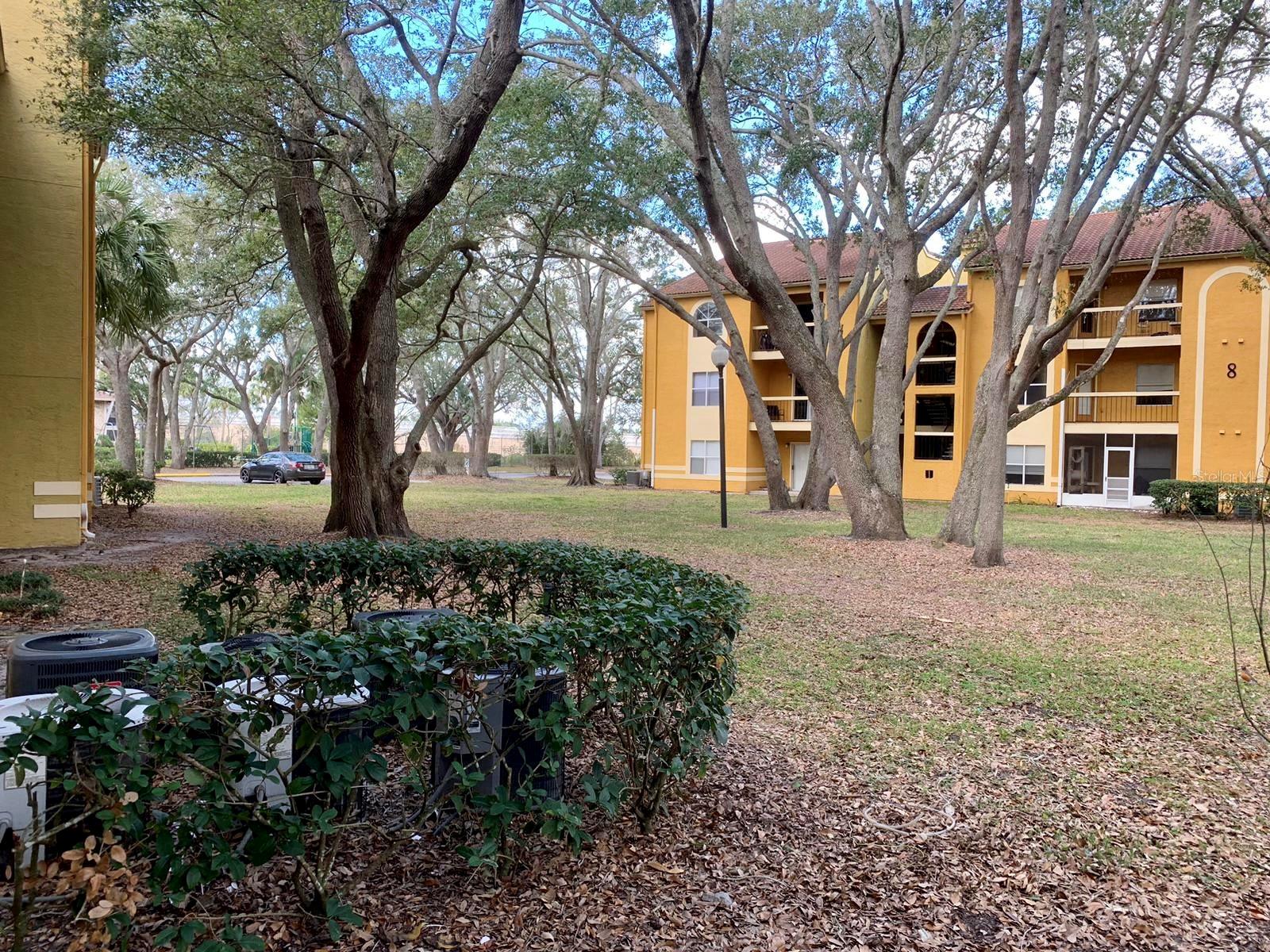 IMAGES A CONDO - Residential Lease