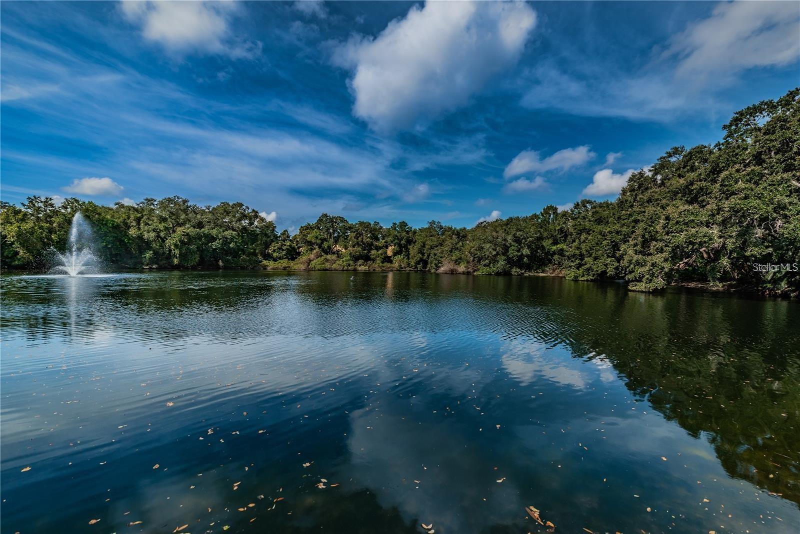 WEDGE WOOD OF PALM HARBOR - Residential Lease