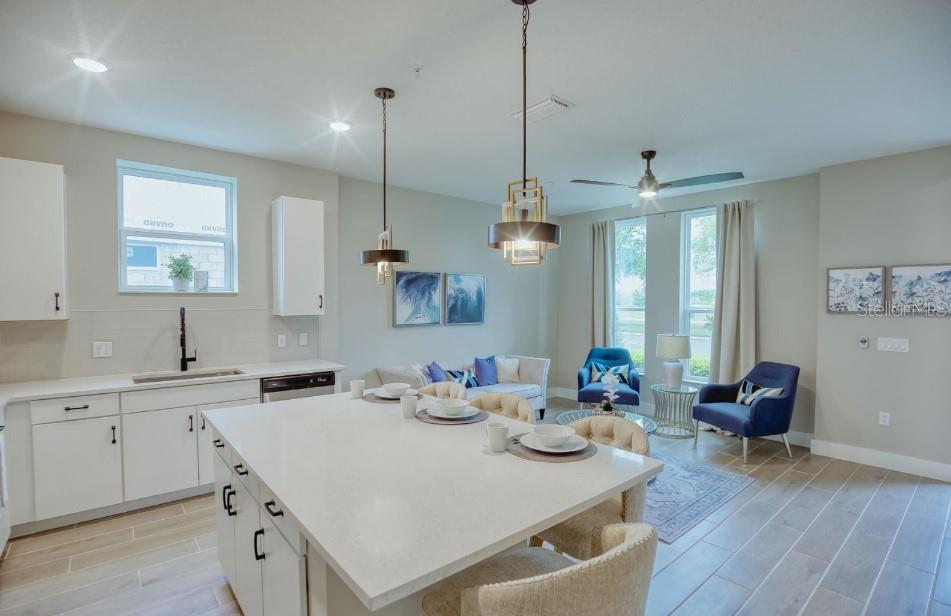 SOHO AT LAKESIDE TOWNOMES - Residential