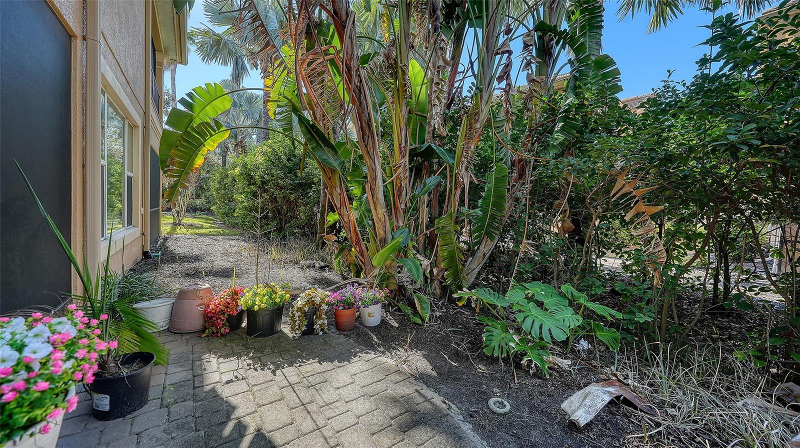 SONOMA PH I - Residential