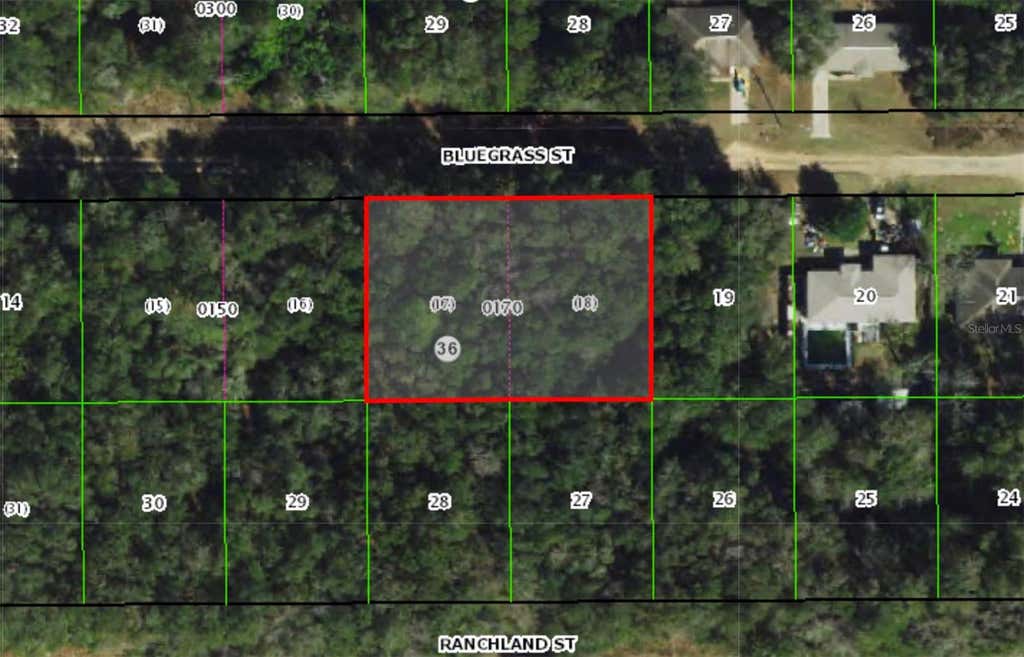 Photo of 2215 Bluegrass Street, Inverness, FL 34453 (MLS # OM726253)
