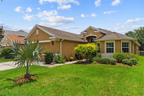 Photo of 11129 Ancient Futures Drive, Tampa, FL 33647 (MLS # TB8419794)