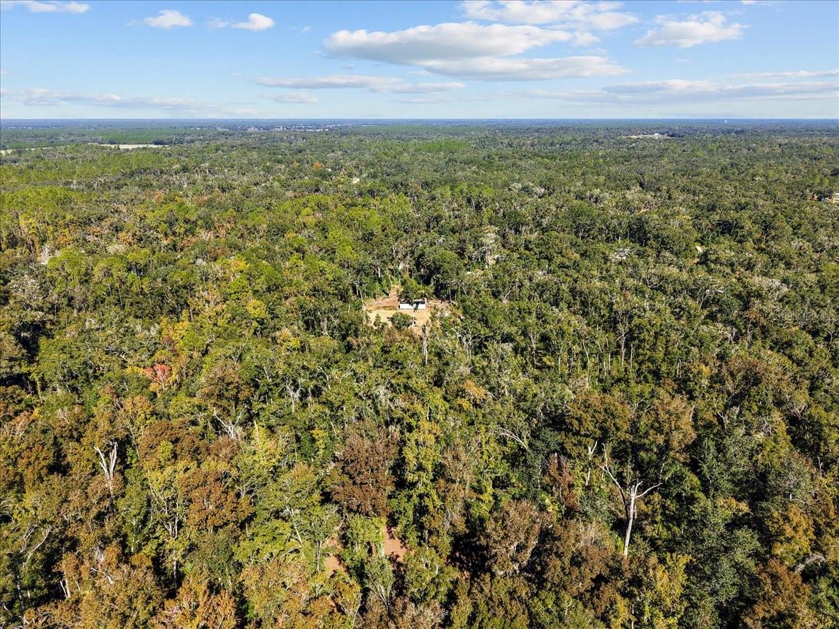 FORT ELIZABETH - Land