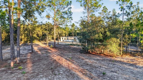Tiny photo for 170 NE 138th Avenue, Williston, FL 32696 (MLS # OM734530)