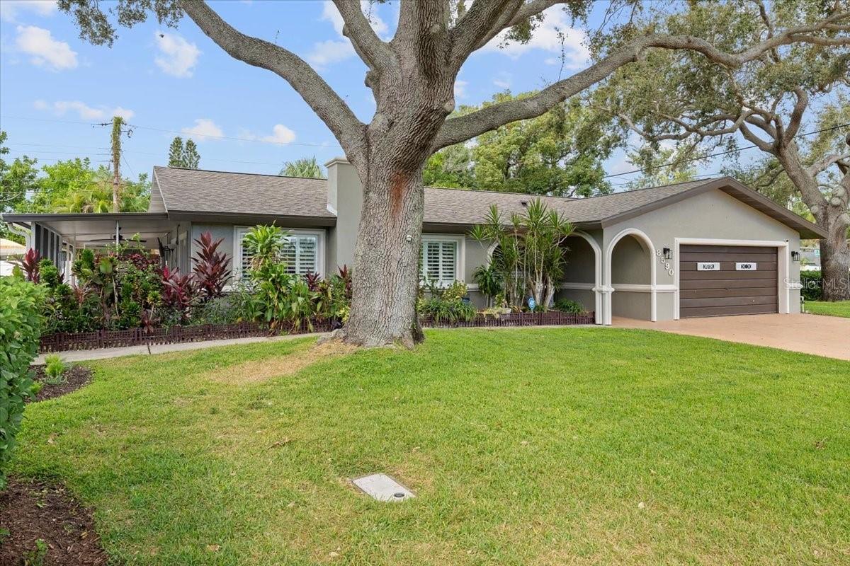 RIDGEWOOD GROVES - Residential