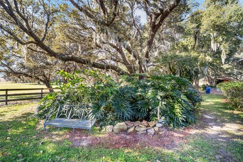 Tiny photo for 36203 Micro Racetrack Road, Fruitland Park, FL 34731 (MLS # OM713402)