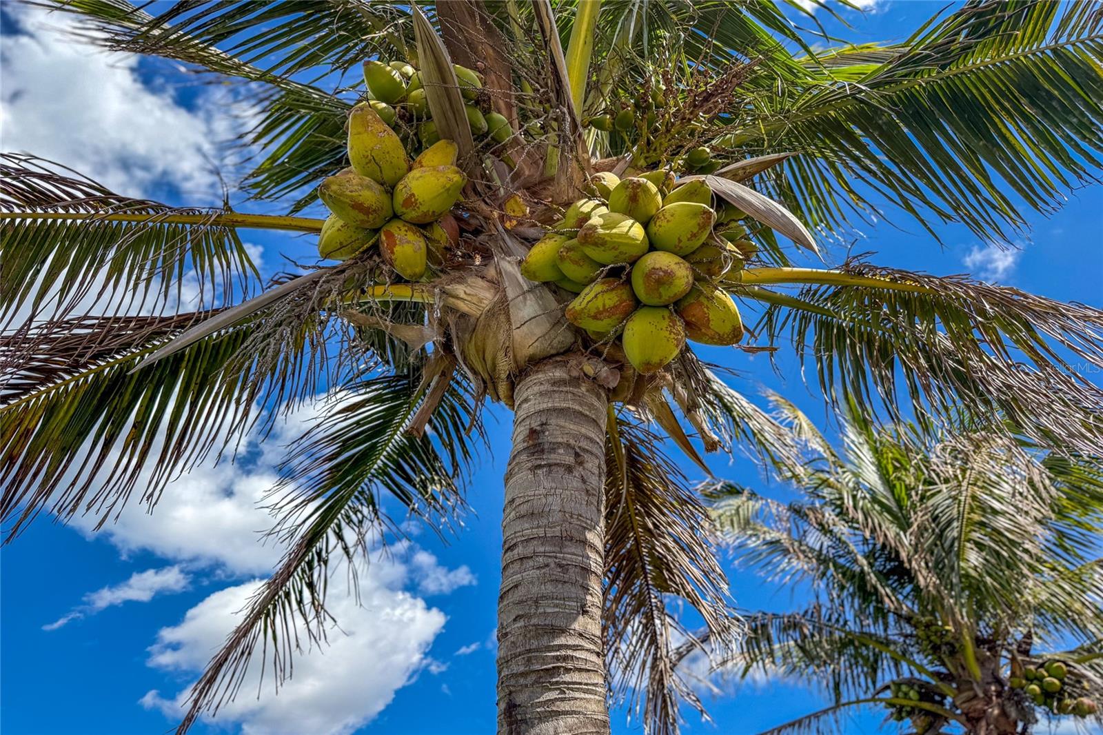 MANASOTA KEY - Residential