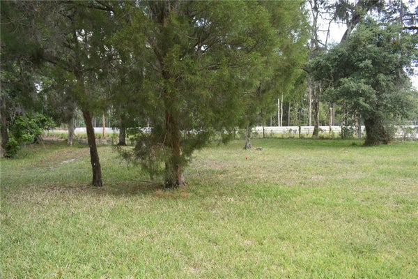 LEXINGTON CIR, WILDWOOD, FL 34785 - Image 3a96705dfd92d58af5f381cd2418e12e/506631123
