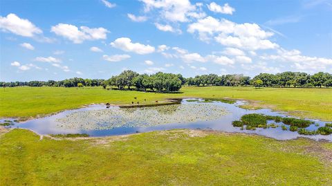 Tiny photo for E C-478 -Unassigned Address, Webster, FL 33597 (MLS # O6206973)