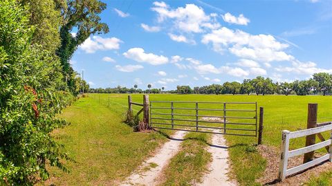 Tiny photo for E C-478 -Unassigned Address, Webster, FL 33597 (MLS # O6206973)