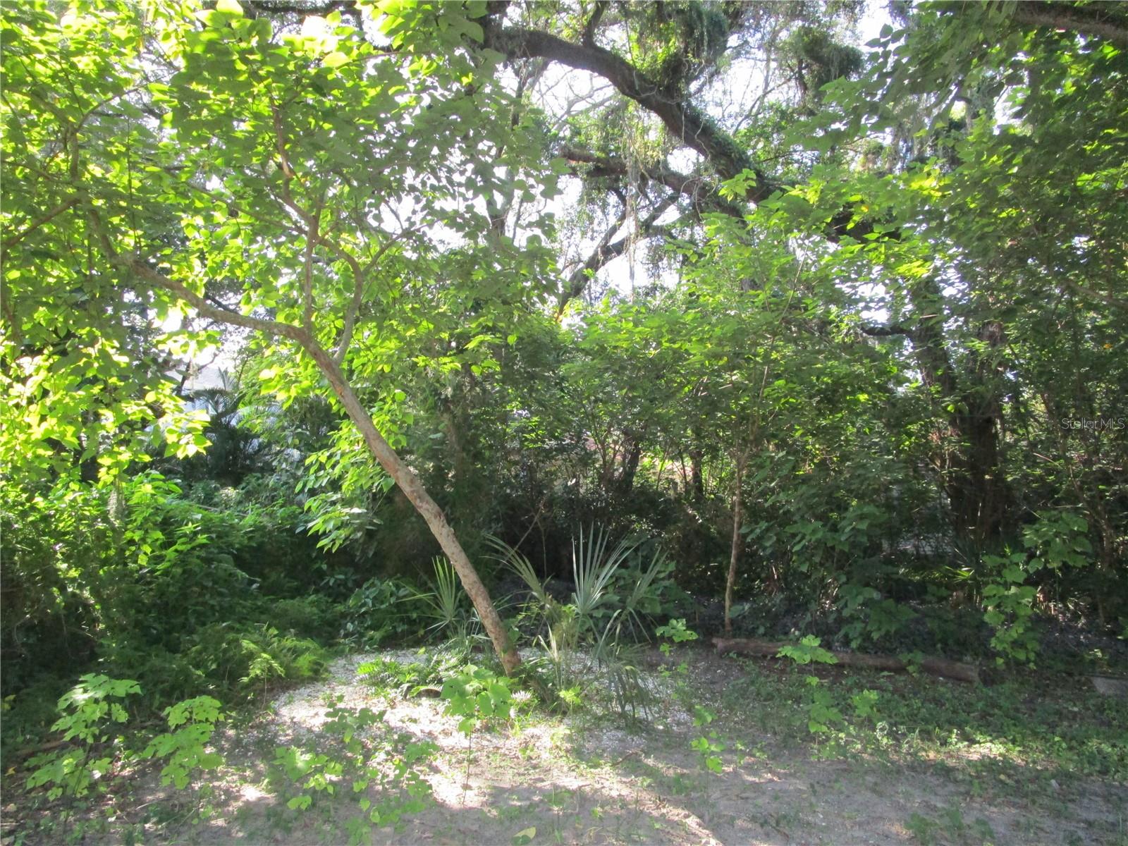 NEBRASKA HEIGHTS - Residential Lease