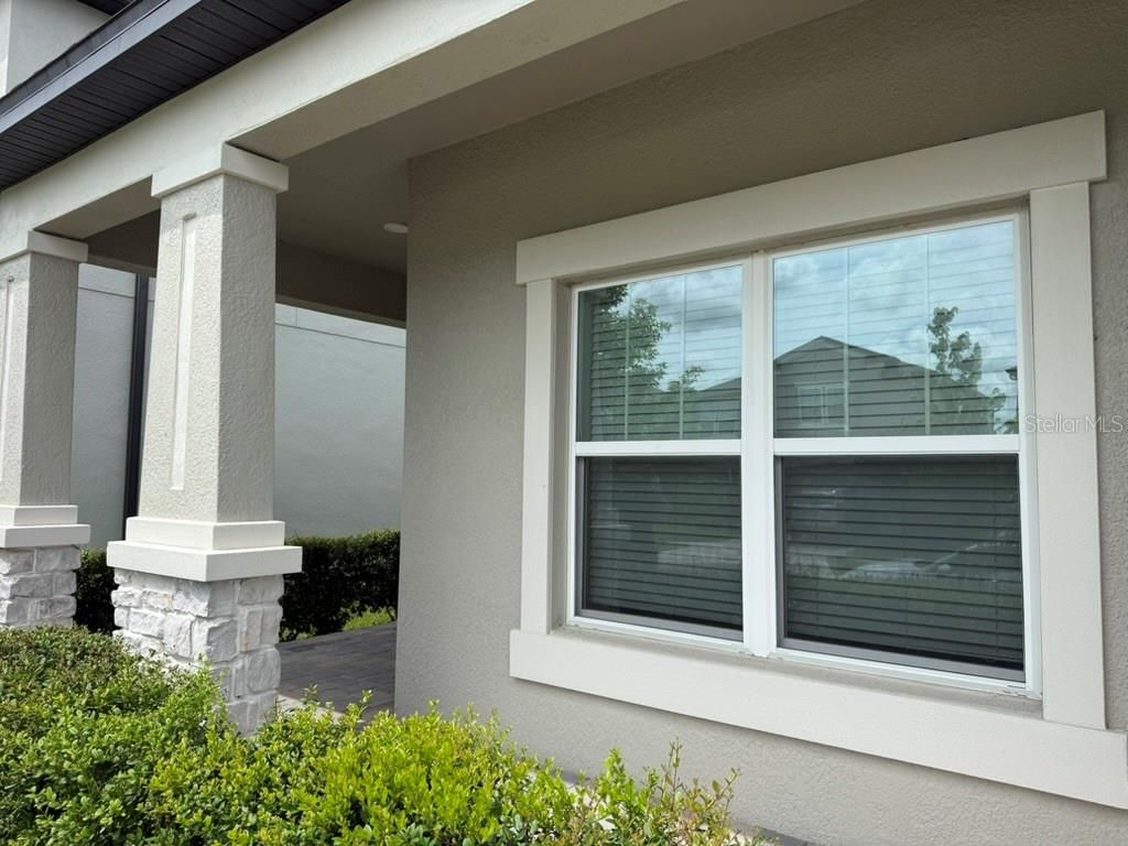 Photo of 7749 Bronze Oak Drive, Wesley Chapel, FL 33545 (MLS # O6406653)