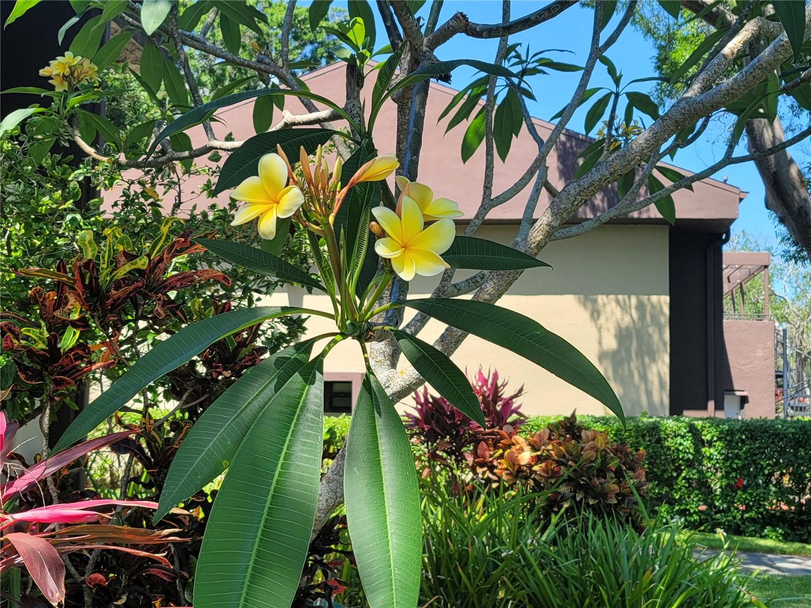 VILLAGE LAKE CONDO - Residential