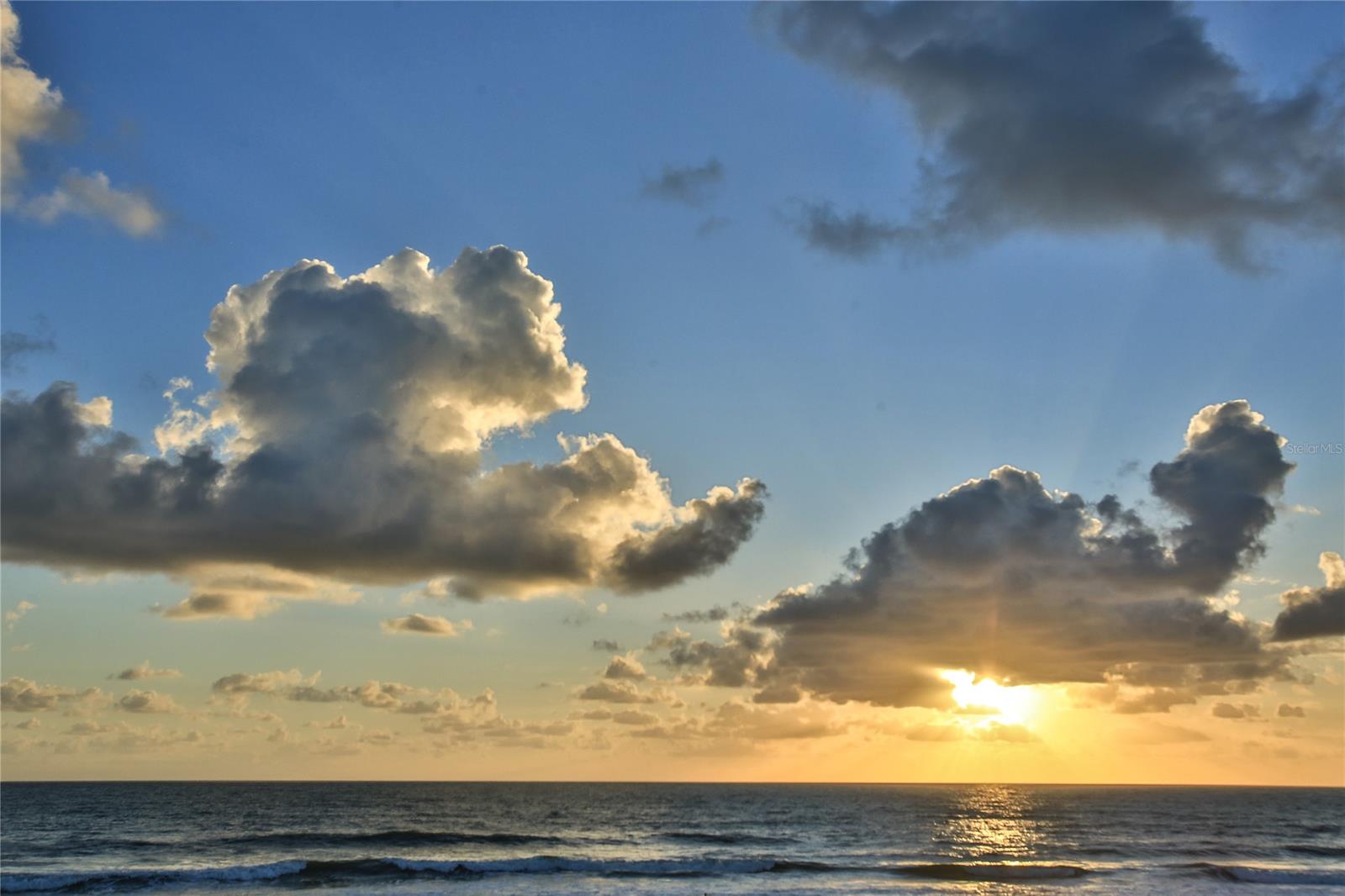 Sea Woods - Residential Lease