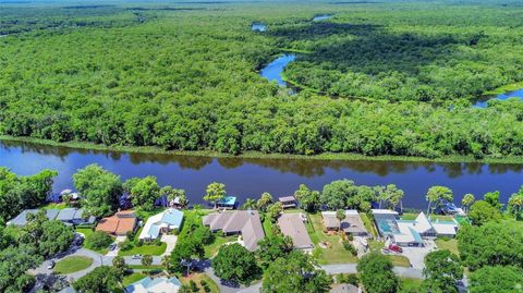 A home in DELAND