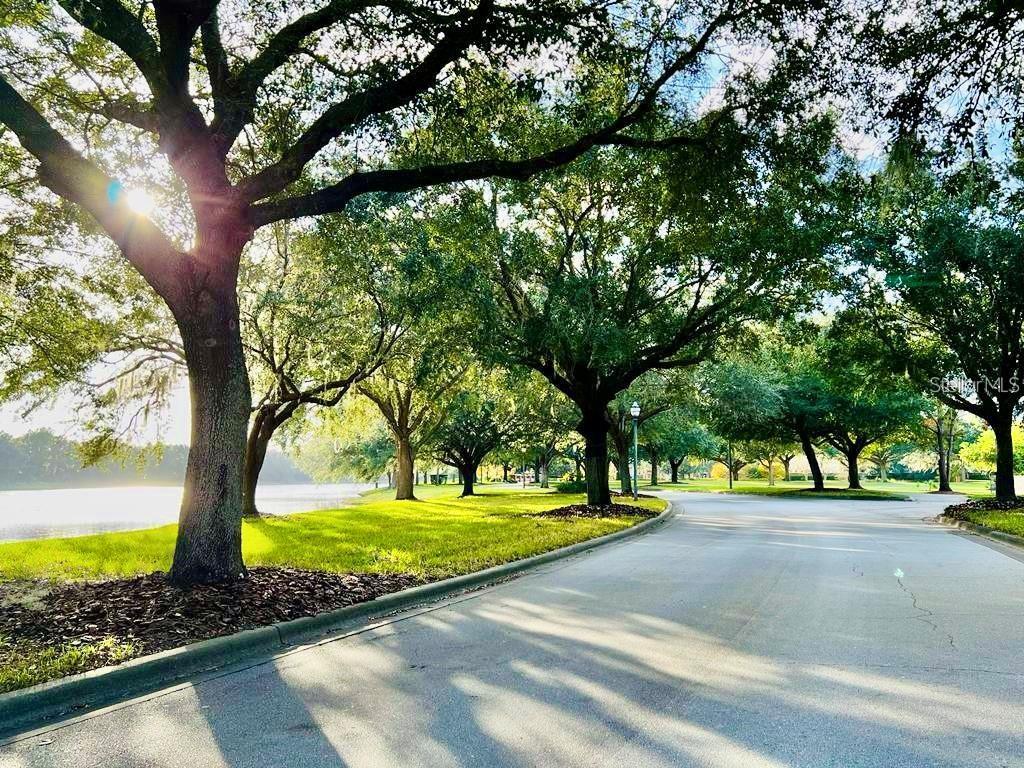 NORTHLAKE PARK AT LAKE NONA NBHD 02B - Residential