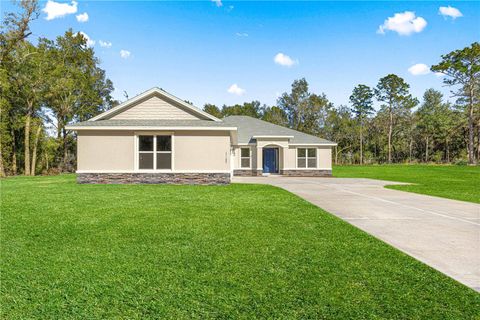 A home in DUNNELLON