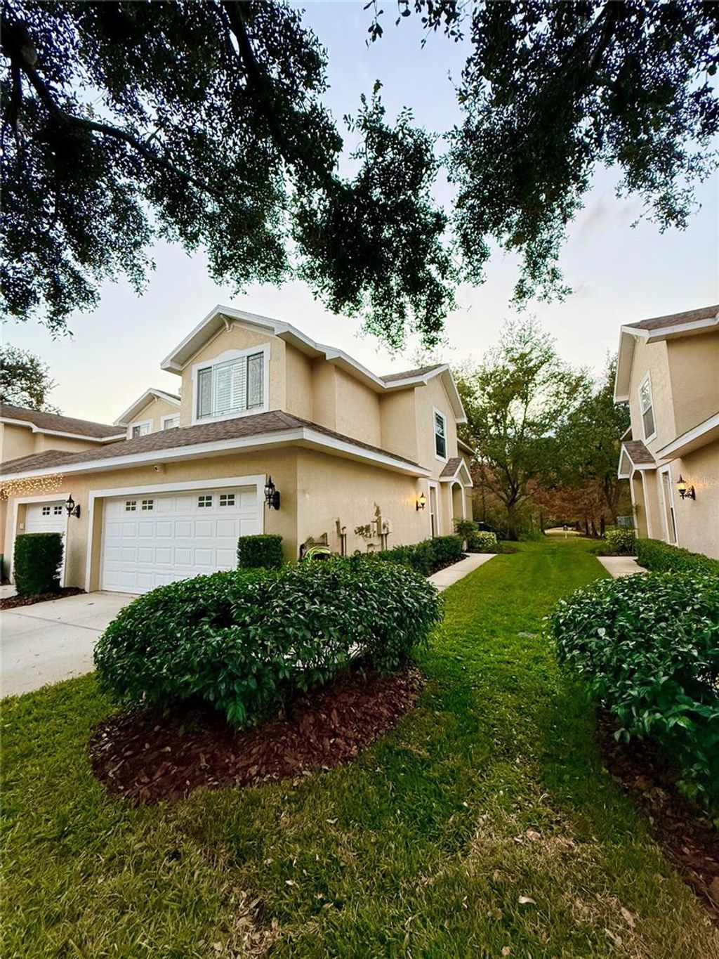 Photo of 6517 Spring Oak Court, Tampa, FL 33625 (MLS # O6366134)