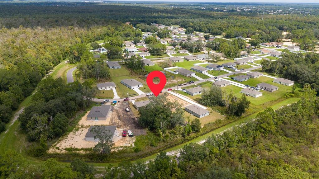 Photo of 133 Sparrow Court, Kissimmee, FL 34759 (MLS # S5141808)