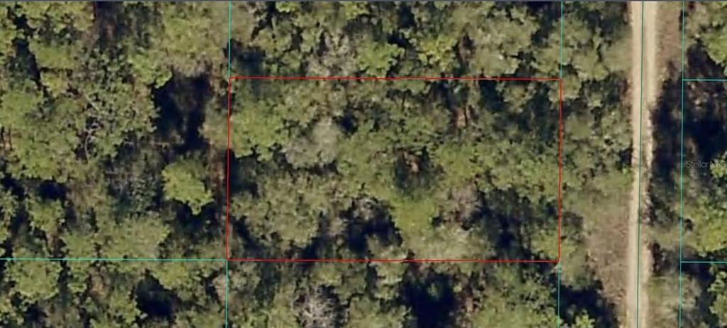 Photo of 2003 SW 159th Avenue, Ocala, FL 34481 (MLS # A4669196)