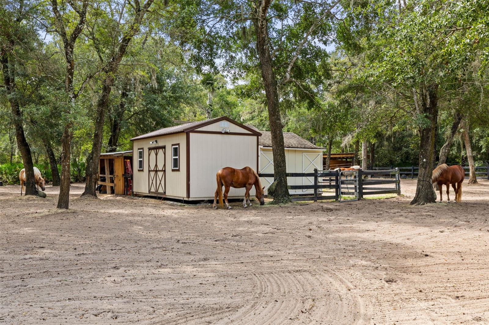 BULOW WOODS - Residential