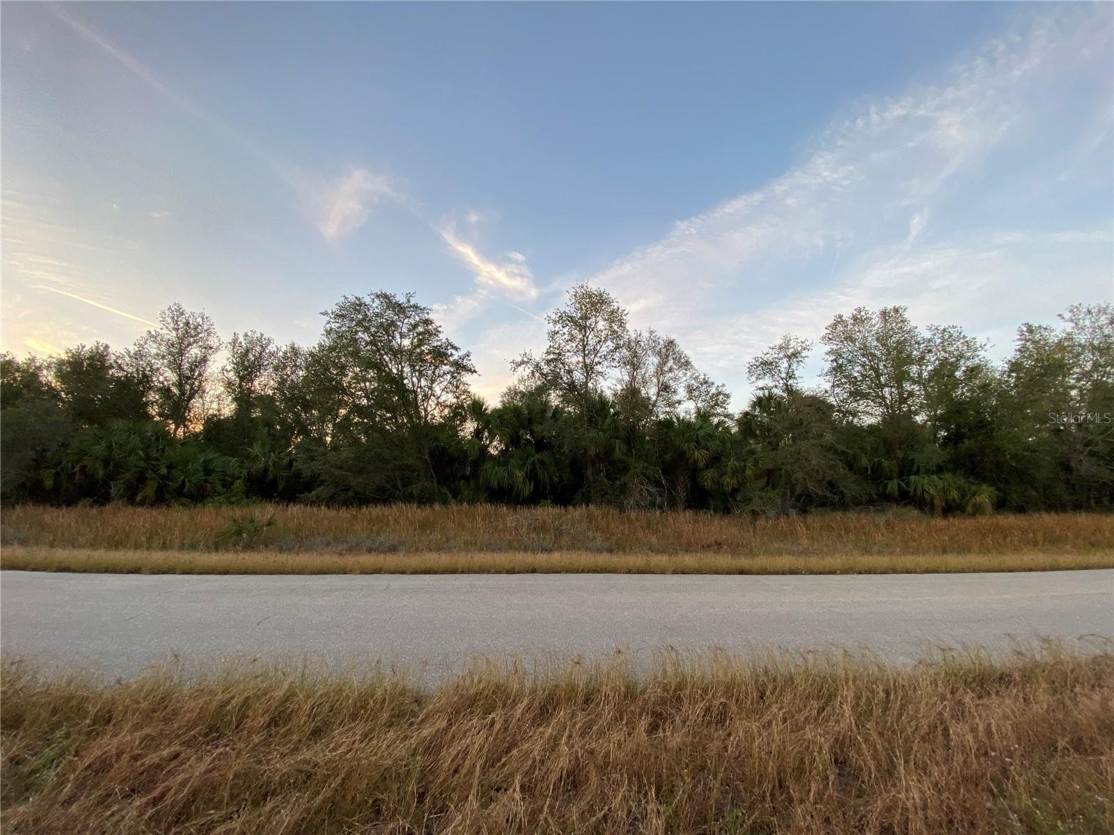 For Sale Beautiful .32 acre lot in a quiet and undeveloped neighborhood in North Port FL.