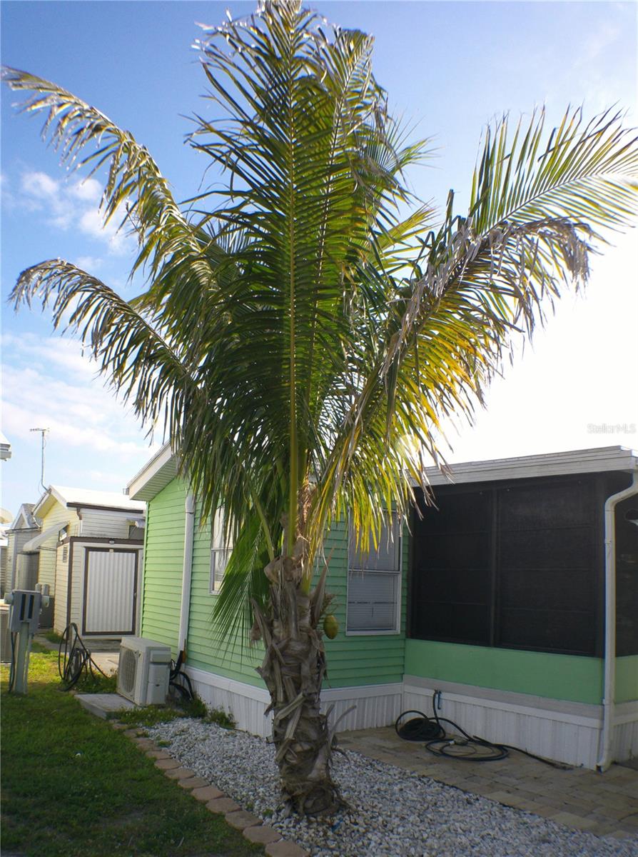 HOLIDAY TRAVEL PARK ENGLEWOOD - Residential