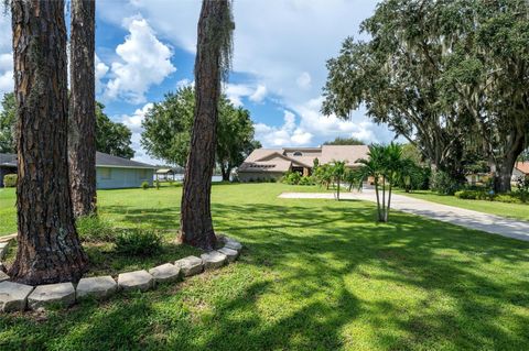 Photo of 3539 Lake Padgett Drive, Land O Lakes, FL 34639 (MLS # TB8406585) Photo of 3539 Lake Padgett Drive, Land O Lakes, FL 34639 (MLS # TB8406585)