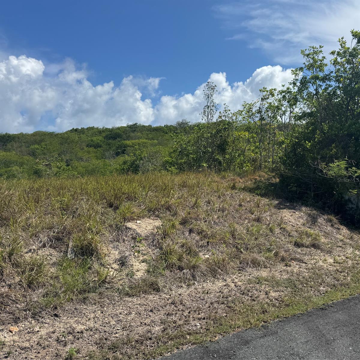 ROBLEY VALLEY 46