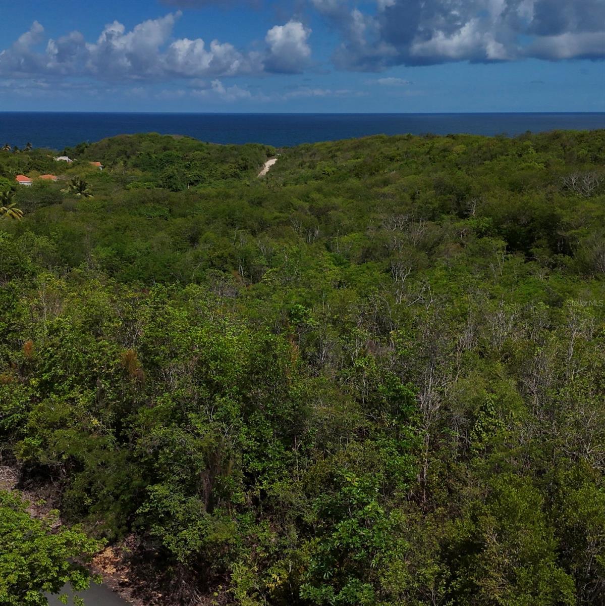 ROBLEY VALLEY 46