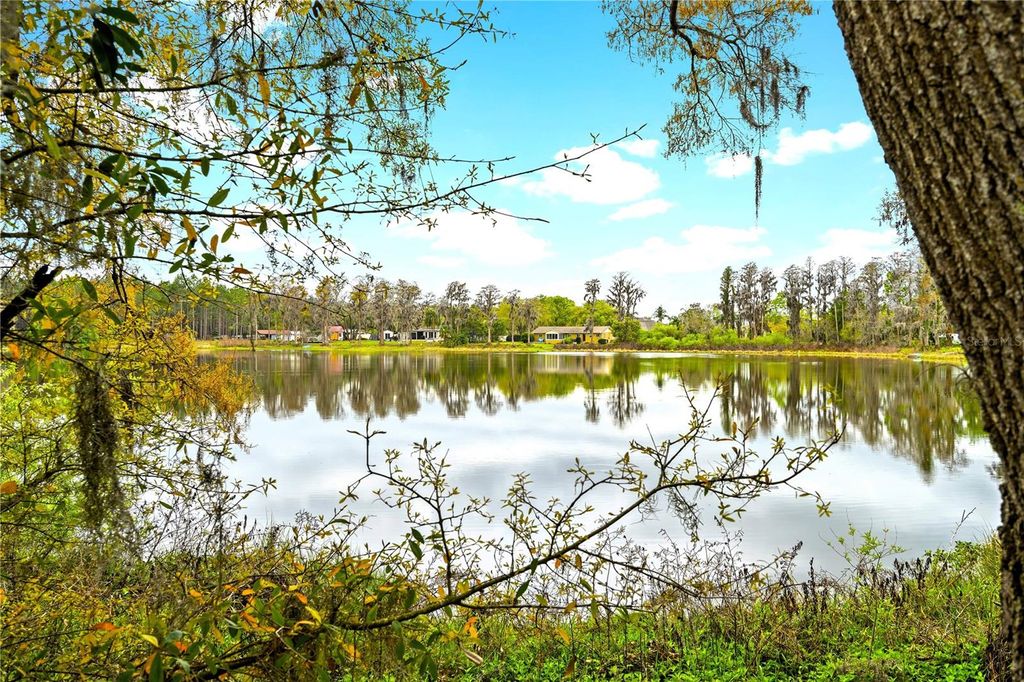 Photo of 18150 Burrell Road, Odessa, FL 33556 (MLS # TB8487138)