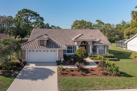 10372 FAIRCHILD ROAD SPRING HILL FL 34608