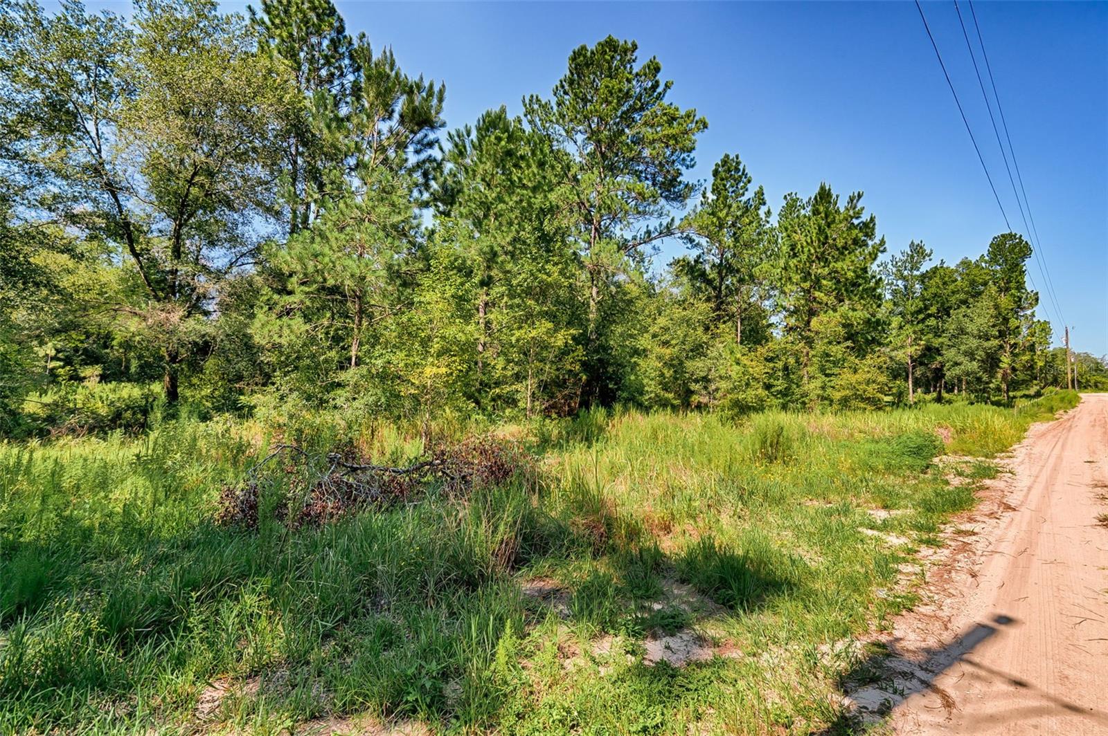 UNIVERSITY ESTATES - Land