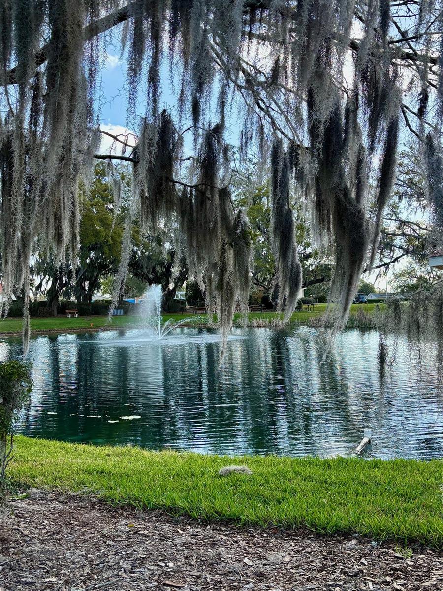 SPRUCE CREEK SOUTH - Residential