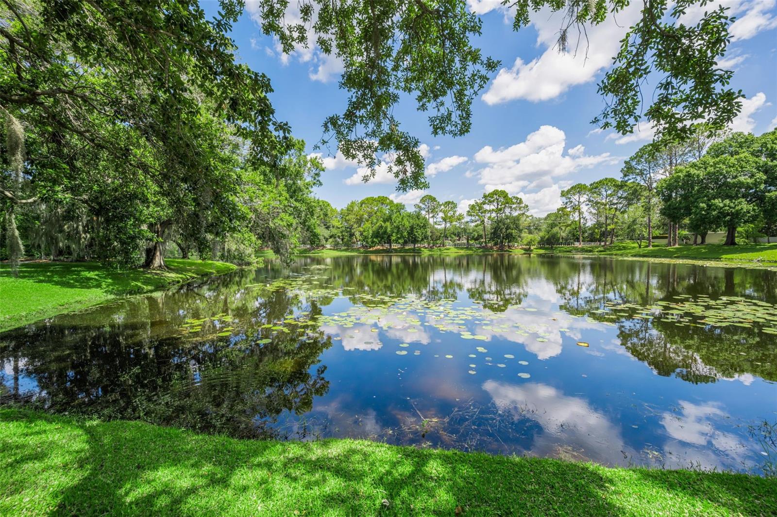 BELLE MEADE - Residential