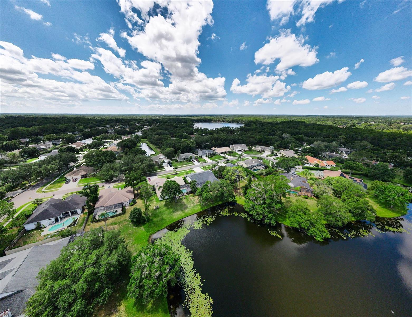 BELLE MEADE - Residential