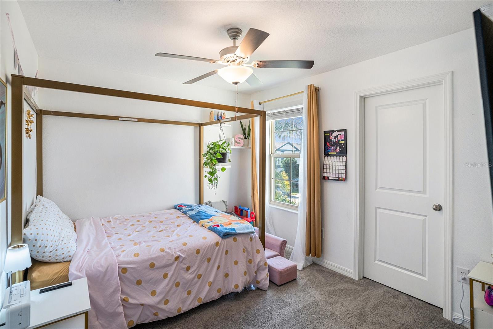 DG FARMS PH 5B - Residential