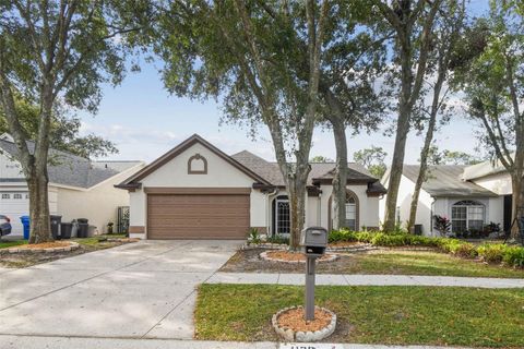 1129 BLOOM HILL AVENUE VALRICO FL 33596