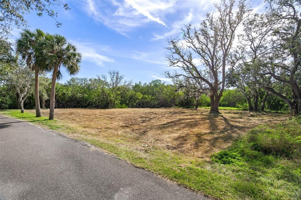 Photo of Irwin Street, Safety Harbor, FL 34695 (MLS # TB8496031)