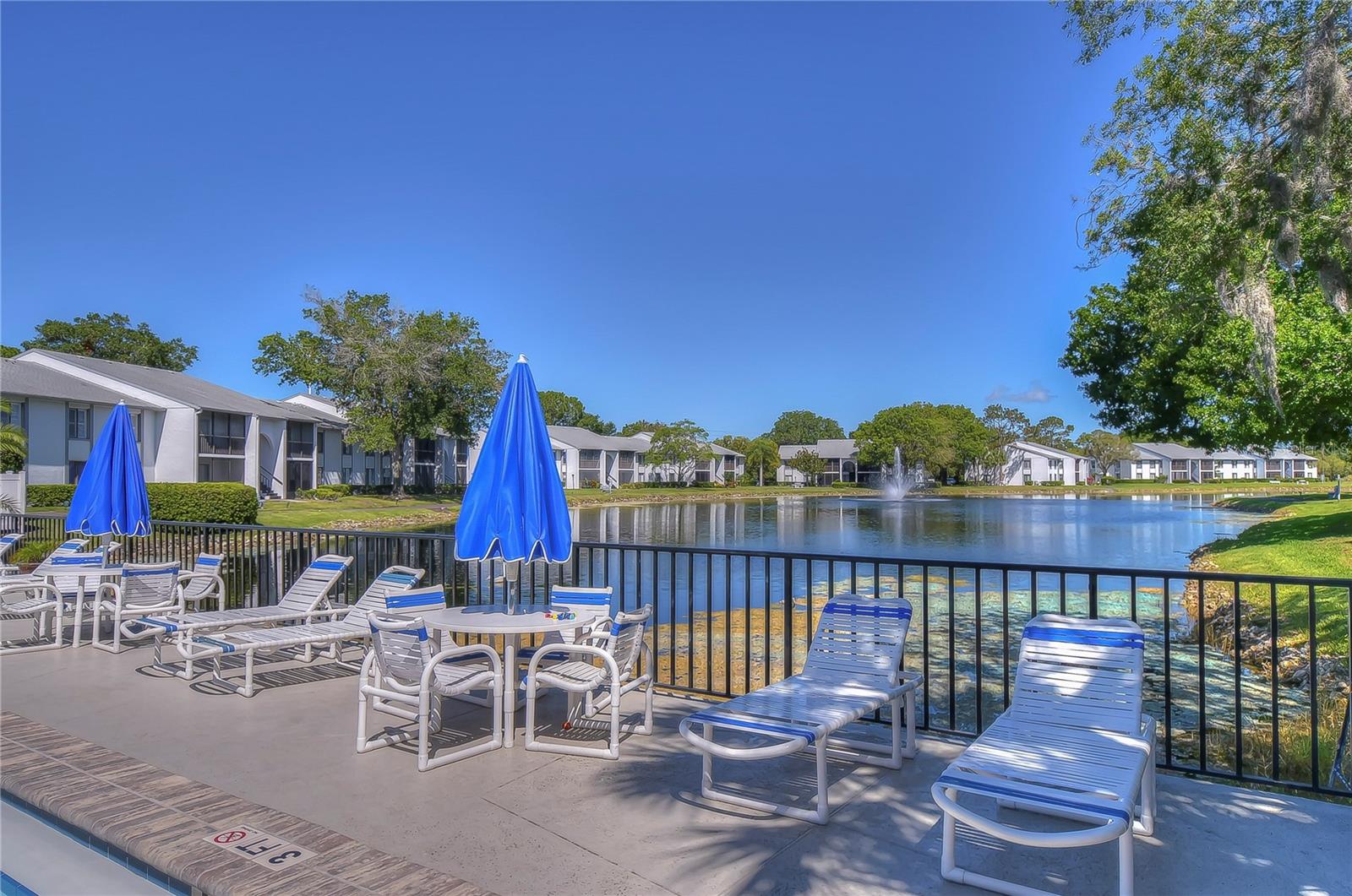 PINE RIDGE AT LAKE TARPON VILLAGE - Residential Lease