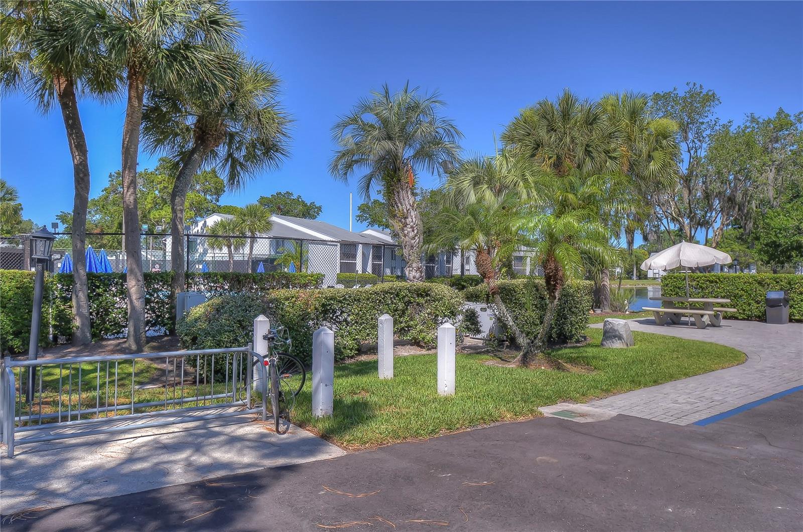 PINE RIDGE AT LAKE TARPON VILLAGE - Residential Lease