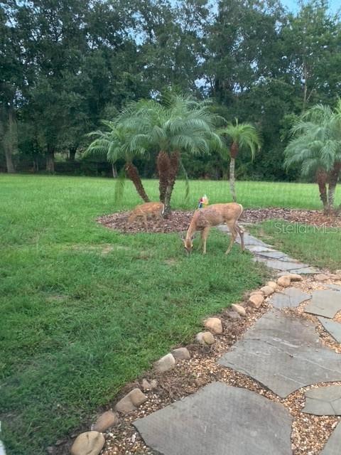 PLANTATION PALMS PH 02-B - Residential Lease