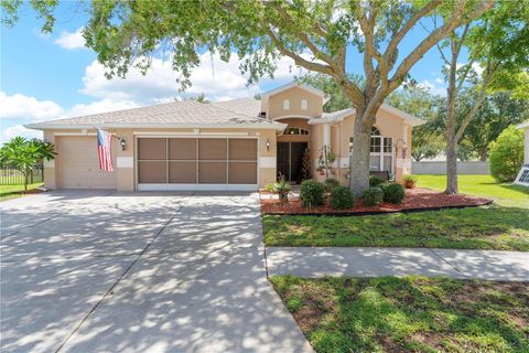 6010 CANDYTUFT PLACE LAND O LAKES FL 34639