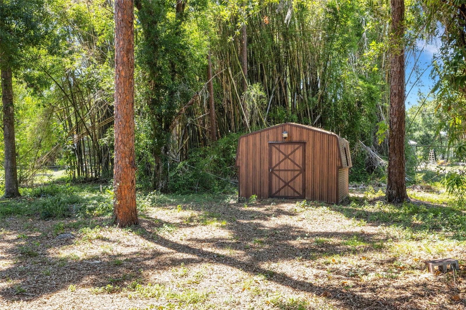 BRADEN PINES - Residential