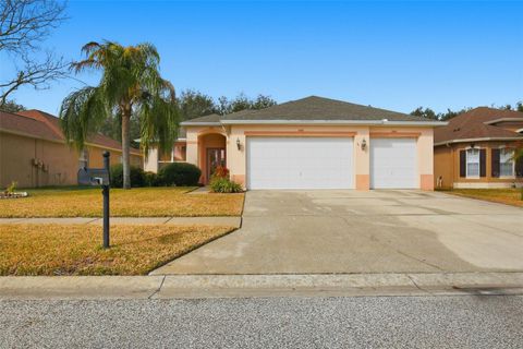 Photo of 14237 Beauly Circle, Hudson, FL 34667 (MLS # O6380338)
