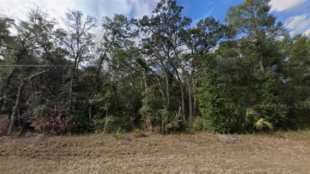 Photo of NW 85th Avenue, Chiefland, FL 32626 (MLS # TB8480624)