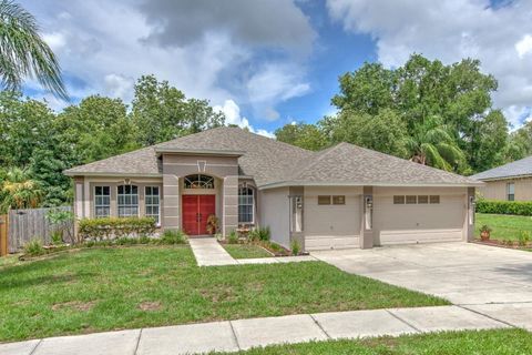 A home in VALRICO